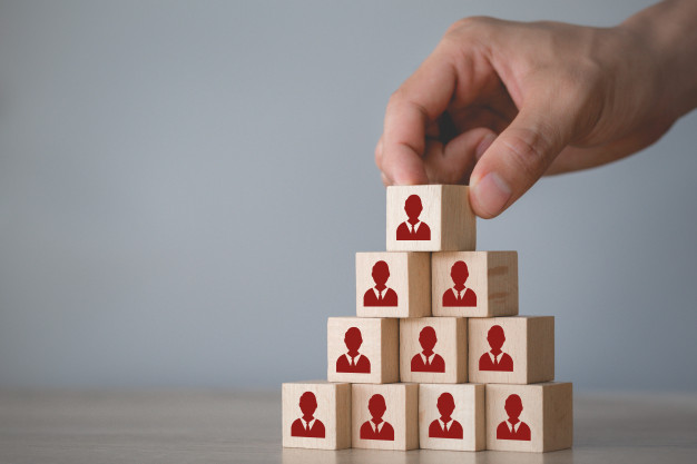 قيَم الشركة 